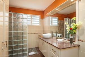 a bathroom with a sink and a mirror at Villa Lynko - 3 Chambres Climatisées - Jardin Tropical - Plages du Moule à 10 minutes in Le Moule