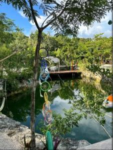 a view of a river with a bunch of clothes hanging from a tree at El Cenote 11:11 in Tulum