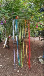 a bunch of colorful streamers hanging from a tree at El Cenote 11:11 in Tulum