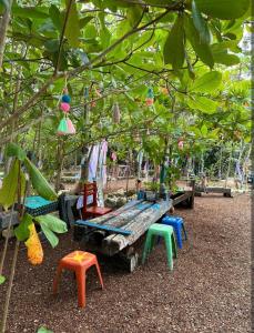 a park with a bench and chairs under a tree at El Cenote 11:11 in Tulum