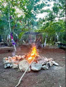 eine Feuerstelle in einem Park mit Holzscheiten und Steinen in der Unterkunft El Cenote 11:11 in Tulum