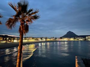 a palm tree sitting next to a body of water at Casita Bonita - with private garden near beach in Jávea in Jávea