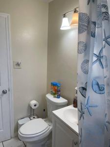 a bathroom with a toilet and a shower curtain at 2 Bedroom House, Ideal for a Family in Fort Pierce