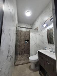 a bathroom with a shower and a toilet and a sink at Great location Apartment in Pachuca in Coscotitlán