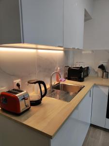 a kitchen counter with a toaster and a sink at Joli Appartement 2 pièces avec un grand jardin in Aubervilliers