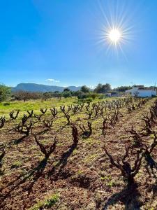 a field with a sun in the sky and trees at Casita Bonita - with private garden near beach in Jávea in Jávea