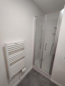 a bathroom with a shower with a glass shower stall at Joli Appartement 2 pièces avec un grand jardin in Aubervilliers