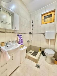 La salle de bains est pourvue d'un lavabo, de toilettes et d'une douche. dans l'établissement Canj Family Resort, à Čanj