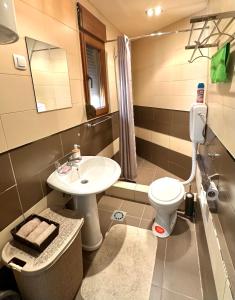 La salle de bains est pourvue d'un lavabo et de toilettes. dans l'établissement Canj Family Resort, à Čanj