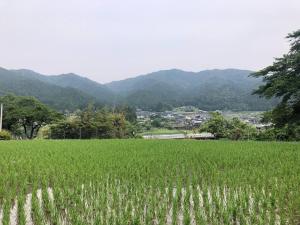un campo de césped verde con montañas en el fondo en HANAMIDORI Oppara no Yado - Vacation STAY 16099, en Gujō