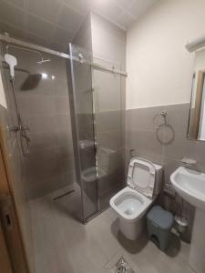 a bathroom with a shower and a toilet and a sink at Alsam Real Estate Gust House in Addis Ababa