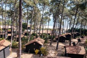 比斯卡罗斯Slow Village Biscarrosse Lac的树丛中的小屋