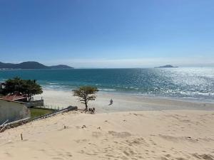 una playa con un árbol en la arena y el océano en Apartamento a 3 min apé da praia!, en Florianópolis
