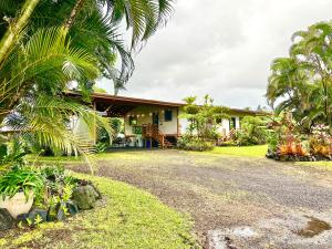 a house with palm trees in front of it at Home near Volcano National Park, Hilo, Kehena in Keaau