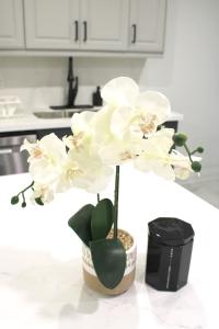 a white flower in a pot on a counter at Urban Haven: 2BR/2BA+Office, Kitchen, Dining in Newcastle