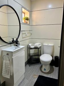 La salle de bains est pourvue de toilettes, d'un lavabo et d'un miroir. dans l'établissement Katherine Farmstay Caravan Park, à Katherine