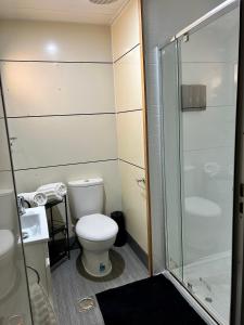 a bathroom with a toilet and a glass shower at Katherine Farmstay Caravan Park in Katherine