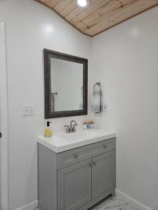 bagno con lavandino e specchio di Studio 431-Vet owned 14 miles to Ft Moore a Phenix City