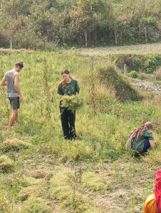 Foto sihtkohas Pokhara asuva majutusasutuse GAUTAM GARDEN GUEST HOUSE galeriist