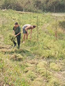 Foto sihtkohas Pokhara asuva majutusasutuse GAUTAM GARDEN GUEST HOUSE galeriist