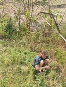 Foto sihtkohas Pokhara asuva majutusasutuse GAUTAM GARDEN GUEST HOUSE galeriist