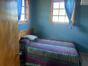 een slaapkamer met een bed in een blauwe kamer bij Shorrs Villas in Seminets