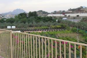 a garden with pink flowers and a fence at Hatta Hills in Al Ḩajarayn