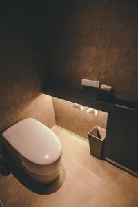 a bathroom with a white toilet and a counter at ASH Villa 富士河口湖 in Fujikawaguchiko