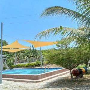 einen Pool mit einem Sonnenschirm und einer Palme in der Unterkunft Beachfront Mansion and Seascape Villas Calatagan with Outdoor Pool in Calatagan