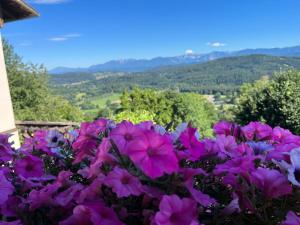 un ramo de flores rosas con vistas en Urlaubsbauernhof Wabnig, en Moosburg