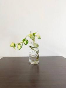 um vaso de vidro com uma planta sobre uma mesa em Artwork house good cozy apartment em Bang O