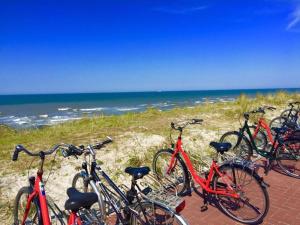 a group of bikes parked next to the beach at Lagoon on the Wadden Sea on Wangerooge in Wangerooge