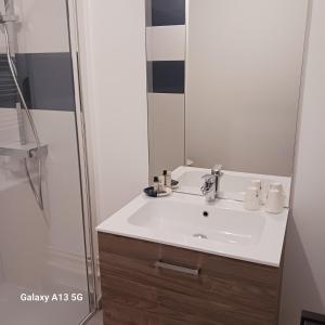 La salle de bains est pourvue d'un lavabo blanc et d'une douche. dans l'établissement Résidence l'estrade, à Dunkerque