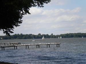 eine Gruppe von Vögeln, die auf einem Steg im Wasser sitzen in der Unterkunft North Sea dike Modern retreat in Sehestedt