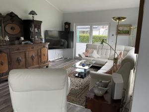 ein Wohnzimmer mit einem Sofa und einem TV in der Unterkunft Farsighted modern retreat in Zetel