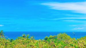 Pemandangan umum laut atau pemandangan laut yang diambil dari hostel