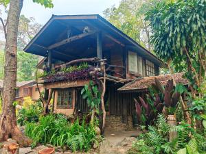 una pequeña casa con plantas en la parte delantera en ธารทอง ลอดจ์ Tharnthong Lodge, en Ban Pang Champi
