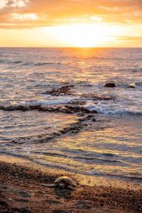 Paesaggio naturale nelle vicinanze dell'appartamento