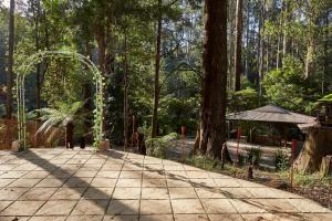 Un jardín fuera de The Fernglen Forest Retreat