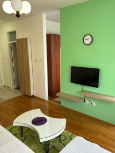 ein Wohnzimmer mit einer grünen Wand und einem TV in der Unterkunft Studio 33 in Banja Luka