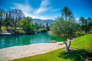 Gan NerYaffe Bagilboa的河边的草木