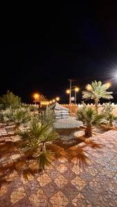 a park with palm trees and lights at night at Thenoblejewel in Al Laqīţah