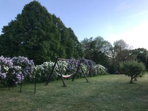 een hangmat in een veld met bloemen en bomen bij Hangvar Skola Geografisalen in Lärbro