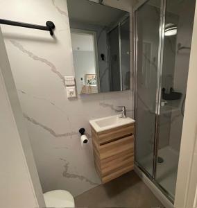 ノールベークにあるVakantiewoningen 'Hoeve de Witte Olifant'のバスルーム(シャワー、洗面台、トイレ付)