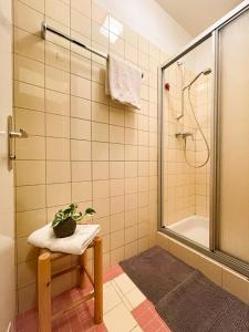 a bathroom with a shower and a potted plant on a stool at Chalet Sonne Vandans in Vandans