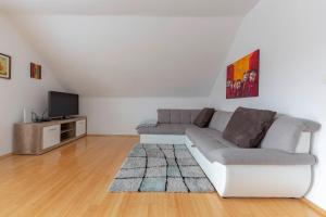 sala de estar con sofá y TV en Apartment Tati, en Dol pri Ljubljani