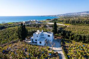 an aerial view of a white house in a vineyard at Blue Waves Villa by Nomads in Kissonerga