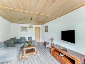 ブルック・アン・デア・グロースグロックナーシュトラーセにあるdetached modern holiday home with sauna in the Salzburgerlandのリビングルーム(ソファ、薄型テレビ付)
