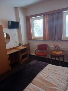 a hotel room with a bed and a table and a chair at Hotel Albert in Paseky nad Jizerou