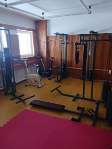 Spordikeskus ja/või sportimisvõimalused majutusasutuses Hotel Albert - RETRO